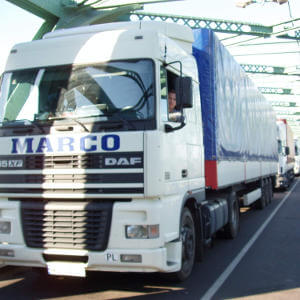 MARCO - galeria zdjęć