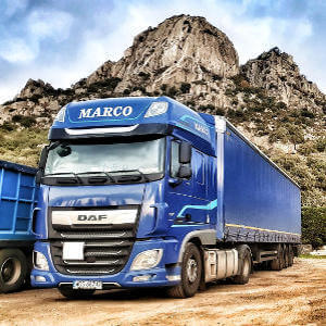 MARCO - galeria zdjęć