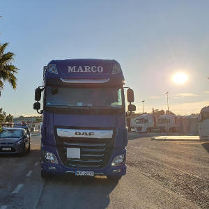 MARCO - galeria zdjęć