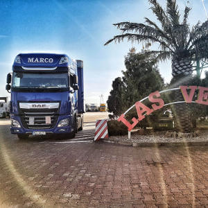 MARCO - galeria zdjęć