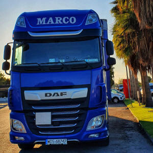 MARCO - galeria zdjęć